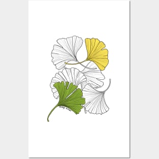 Ginkgo Leaves-gray Posters and Art